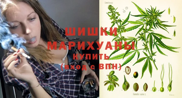 стаф Сосновка