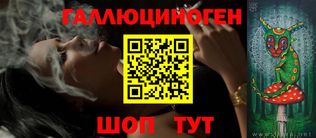 Галлюциногенные грибы Psilocybine cubensis Глазов