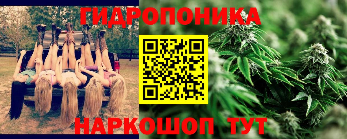 Шишки марихуана индика  МАРИХУАНА THC 21%  Глазов  Вход с VPN  Бошки Шишки план 
